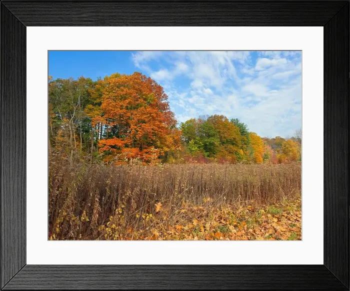 Framed Print : 2yye6dk Framed Print : 2yye6dk