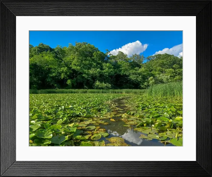 Framed Print : 2s01g9w Framed Print : 2s01g9w