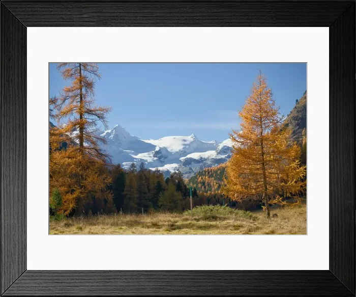 Framed Print : 2s08663 Framed Print : 2s08663