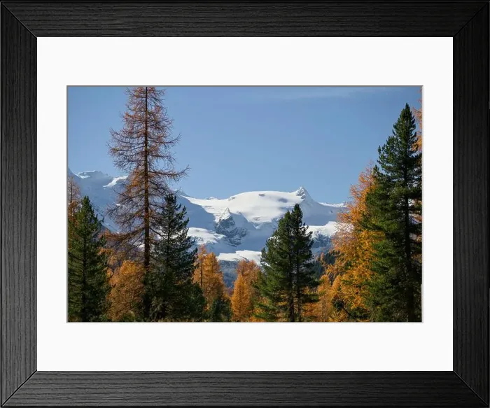 Framed Print : 2s086gy Framed Print : 2s086gy