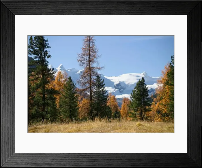 Framed Print : 2s086hh Framed Print : 2s086hh