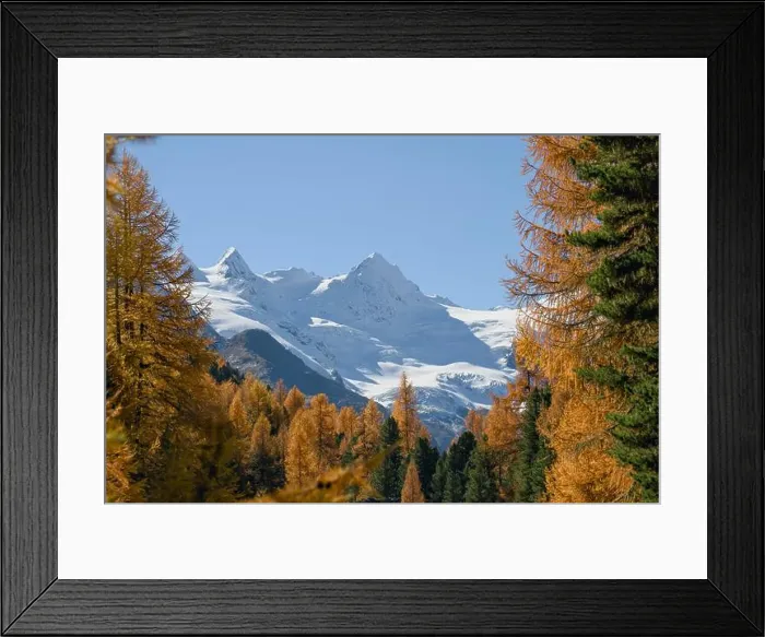 Framed Print : 2s086y4 Framed Print : 2s086y4