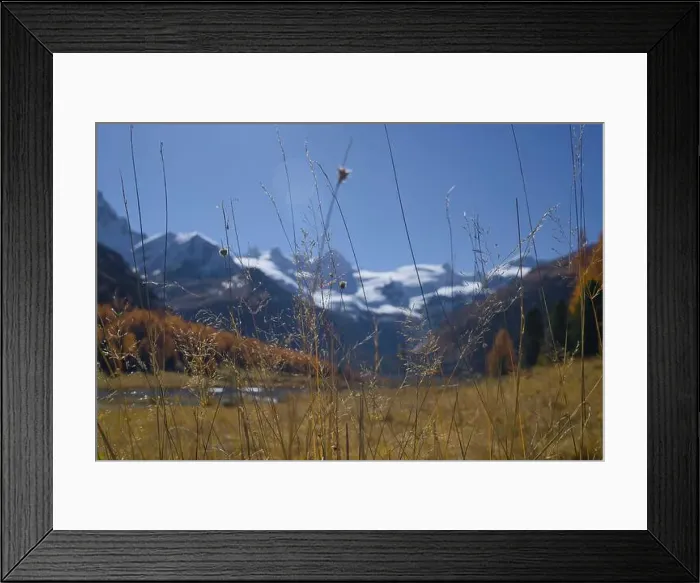 Framed Print : 2s08740 Framed Print : 2s08740