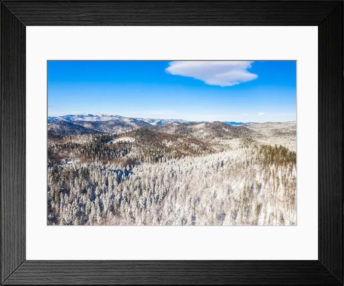 Framed Print : 2s0950p Framed Print : 2s0950p