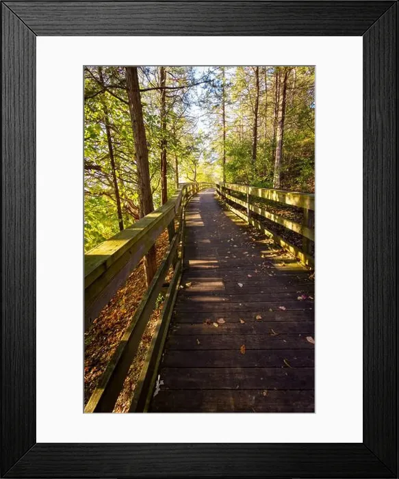 Framed Print : 2s0a2t4 Framed Print : 2s0a2t4