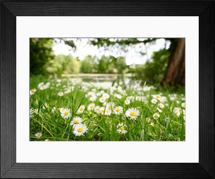 Framed Print : 2s0c9a1 Framed Print : 2s0c9a1