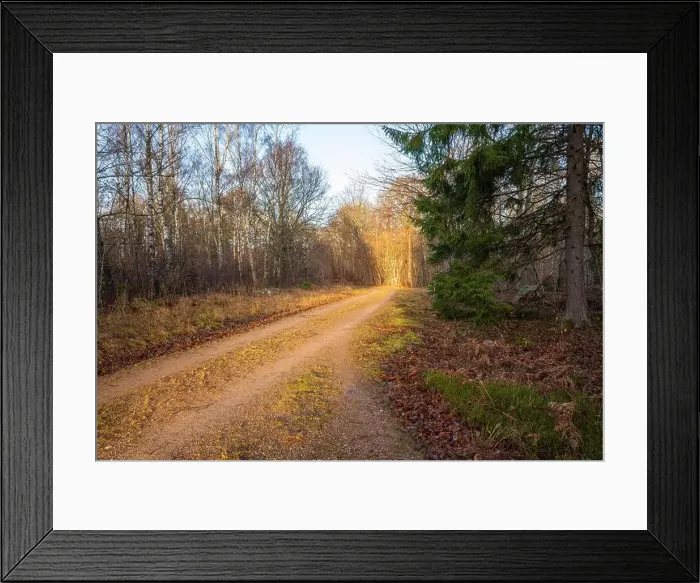 Framed Print : 2s0d1d9 Framed Print : 2s0d1d9