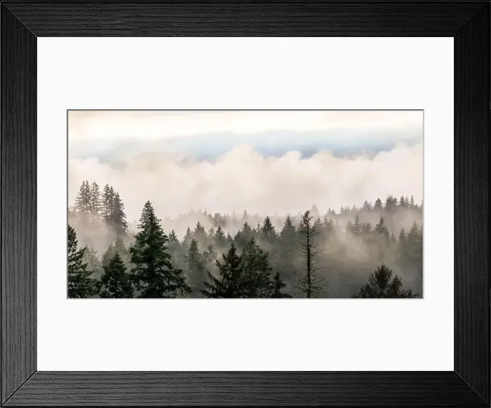 Framed Print : 2s150dh Framed Print : 2s150dh