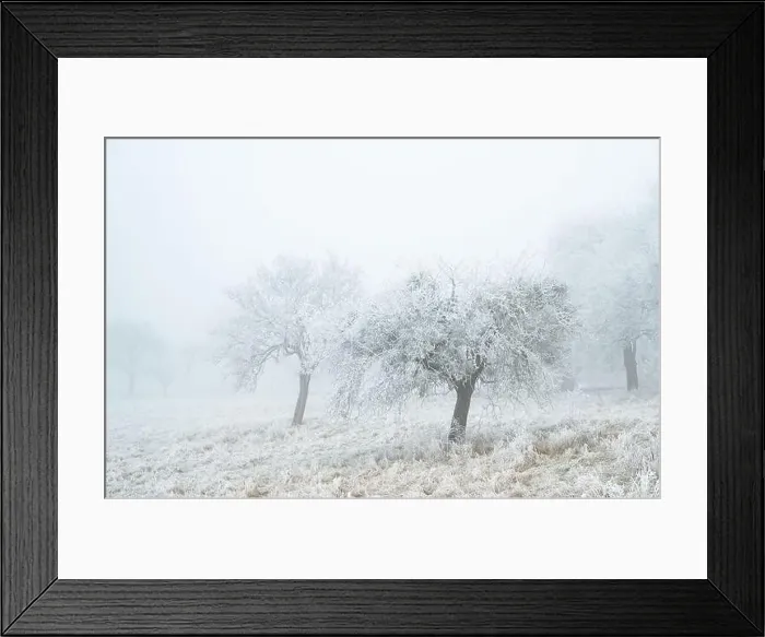 Framed Print : 2s16we8