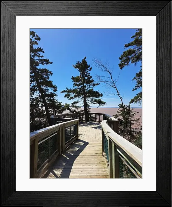 Framed Print : 2s18ttc Framed Print : 2s18ttc