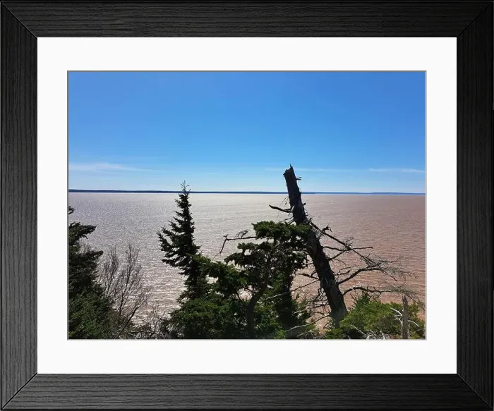 Framed Print : 2s18ttw