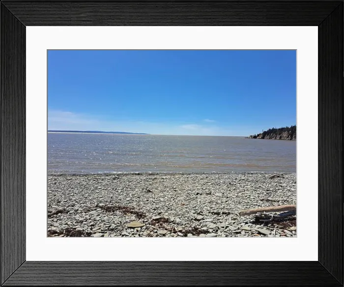 Framed Print : 2s18twt Framed Print : 2s18twt