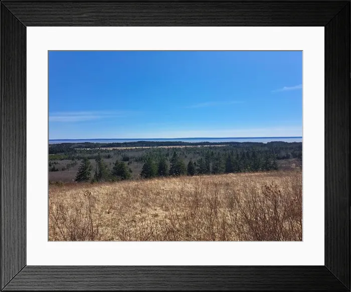 Framed Print : 2s18twx Framed Print : 2s18twx