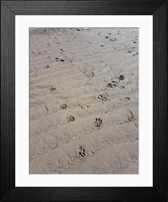 Framed Print : 2s1amcg Framed Print : 2s1amcg