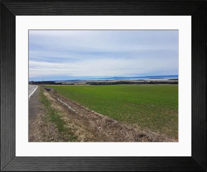 Framed Print : 2s1an5c Framed Print : 2s1an5c