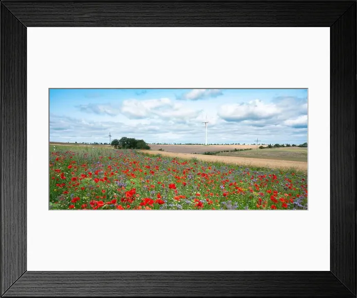 Framed Print : 2s1att3 Framed Print : 2s1att3