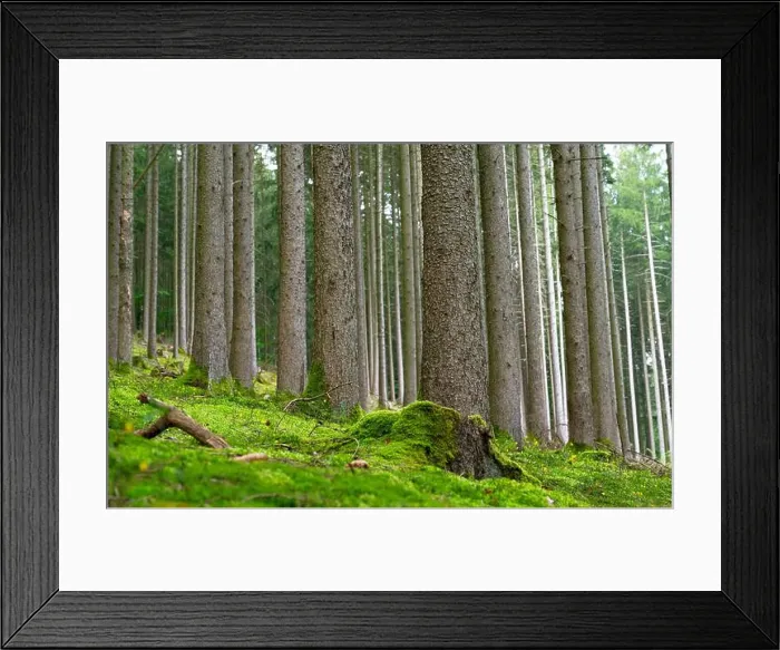 Framed Print : 2s1awaa Framed Print : 2s1awaa