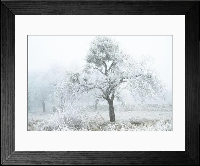 Framed Print : 2s1awd8