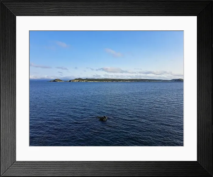 Framed Print : 2s1b322 Framed Print : 2s1b322