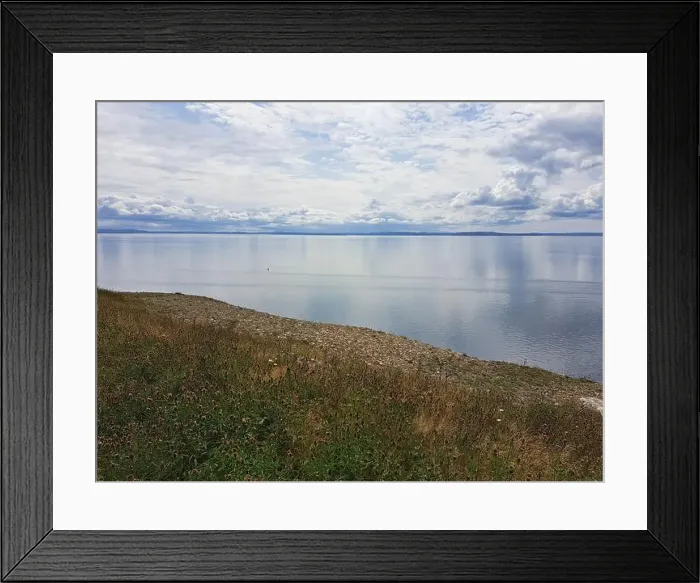 Framed Print : 2s1b89t Framed Print : 2s1b89t