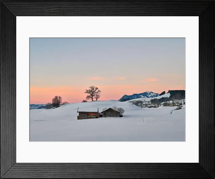 Framed Print : 2s1b9br Framed Print : 2s1b9br