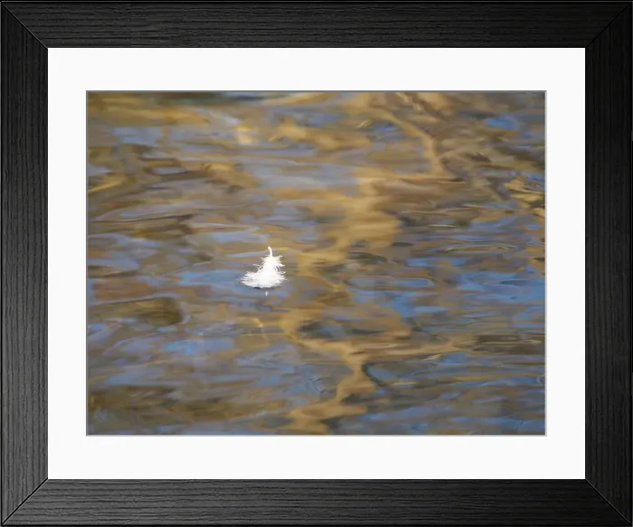 Framed Print : 2s1bfe3 Framed Print : 2s1bfe3