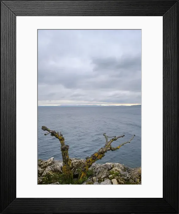 Framed Print : 2s1emgc Framed Print : 2s1emgc