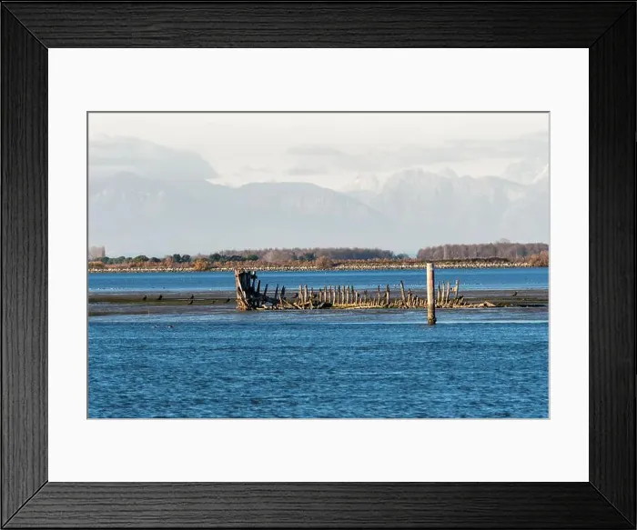 Framed Print : 2s1ktfd Framed Print : 2s1ktfd