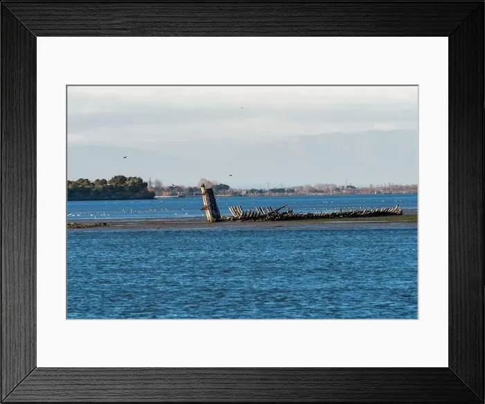 Framed Print : 2s1ktm6 Framed Print : 2s1ktm6