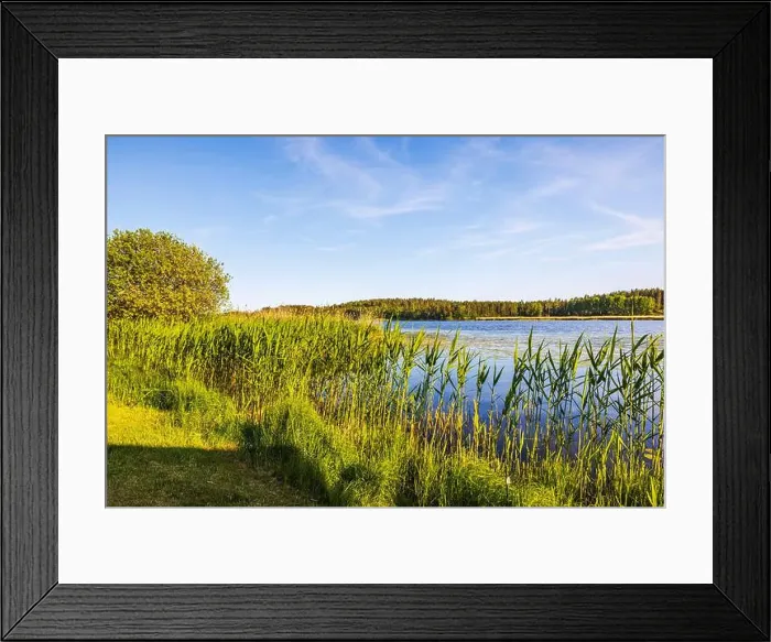 Framed Print : 2s1mcmr Framed Print : 2s1mcmr