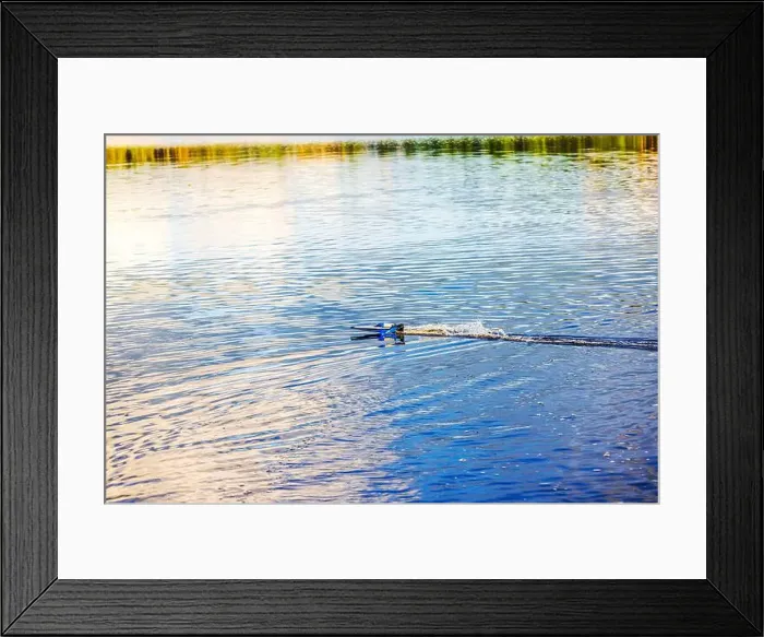 Framed Print : 2s1mg76 Framed Print : 2s1mg76