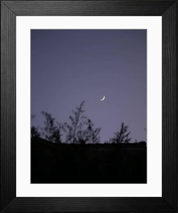 Framed Print : 2s1tt5m Framed Print : 2s1tt5m