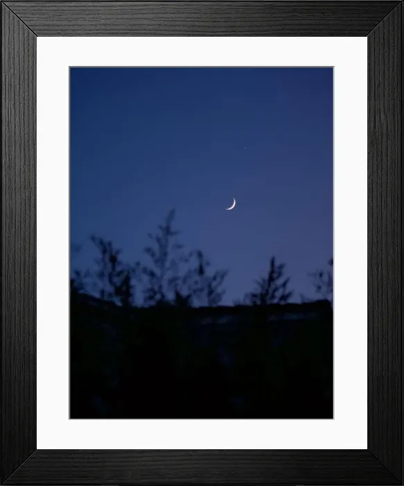 Framed Print : 2s1tt5p Framed Print : 2s1tt5p
