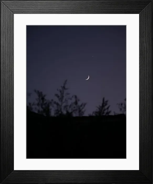 Framed Print : 2s1tt5r Framed Print : 2s1tt5r