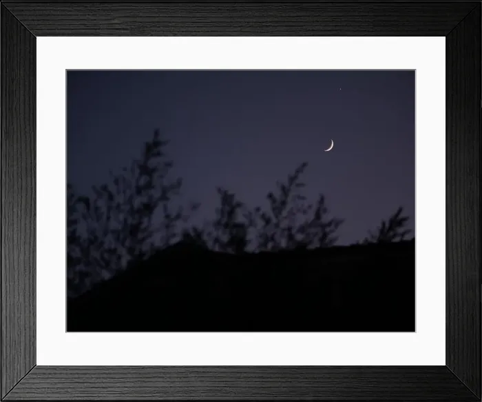 Framed Print : 2s1ttmh Framed Print : 2s1ttmh
