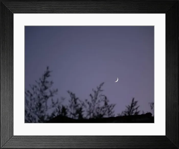 Framed Print : 2s1ttmp Framed Print : 2s1ttmp