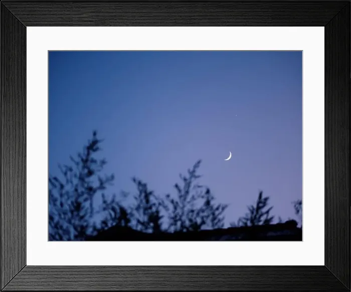 Framed Print : 2s1ttmr
