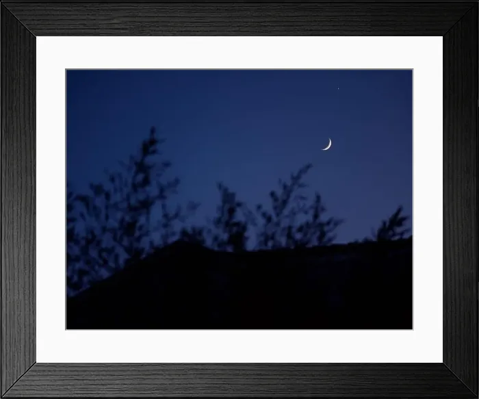 Framed Print : 2s1ttmx Framed Print : 2s1ttmx