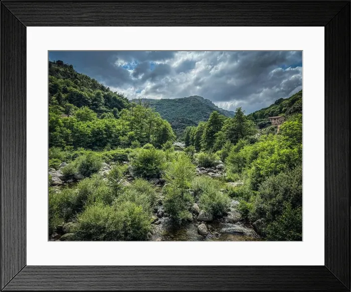 Framed Print : 2s1xdk0 Framed Print : 2s1xdk0