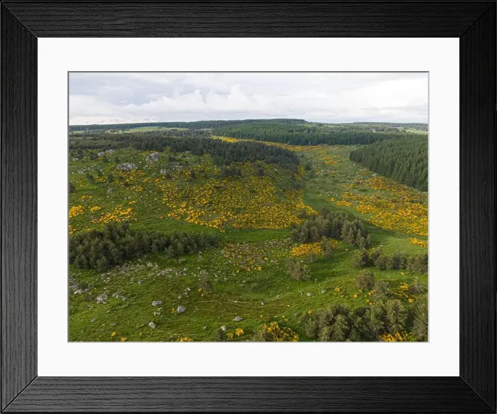 Framed Print : 2s1xdk7 Framed Print : 2s1xdk7
