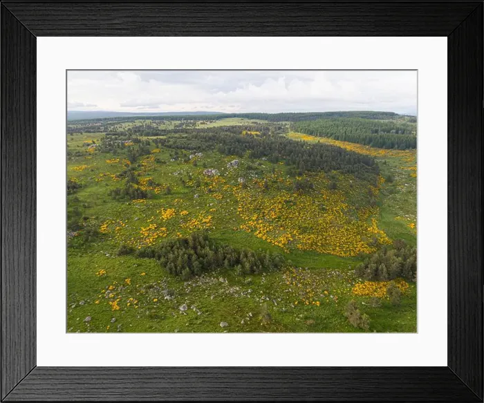 Framed Print : 2s1xdm6 Framed Print : 2s1xdm6