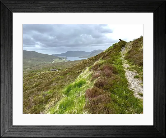 Framed Print : 2s1y4p4 Framed Print : 2s1y4p4