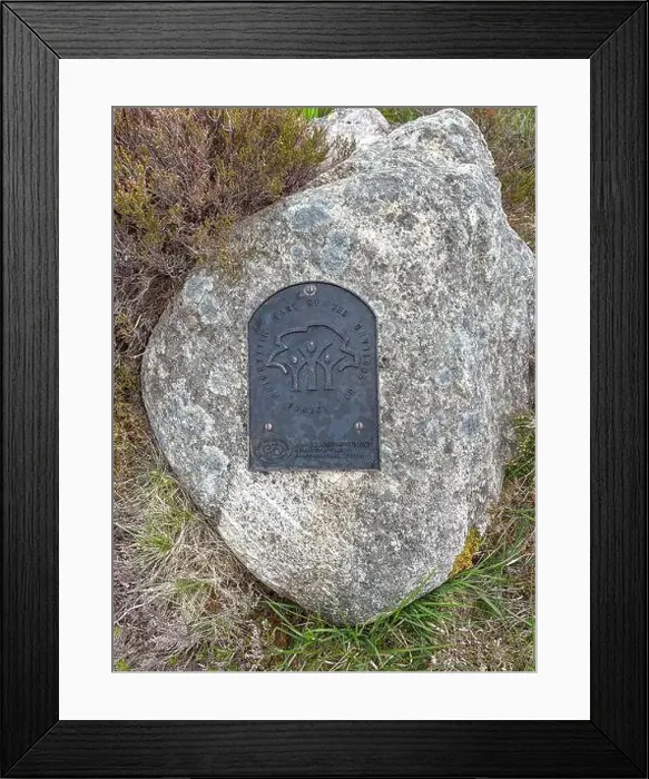 Framed Print : 2s1y4p6 Framed Print : 2s1y4p6