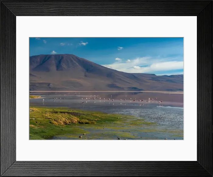 Framed Print : 2s1ye8y Framed Print : 2s1ye8y