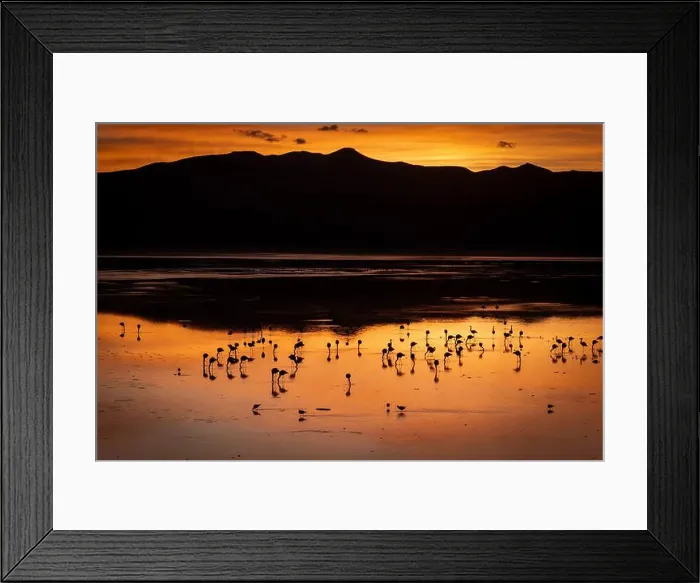 Framed Print : 2s1yecc Framed Print : 2s1yecc