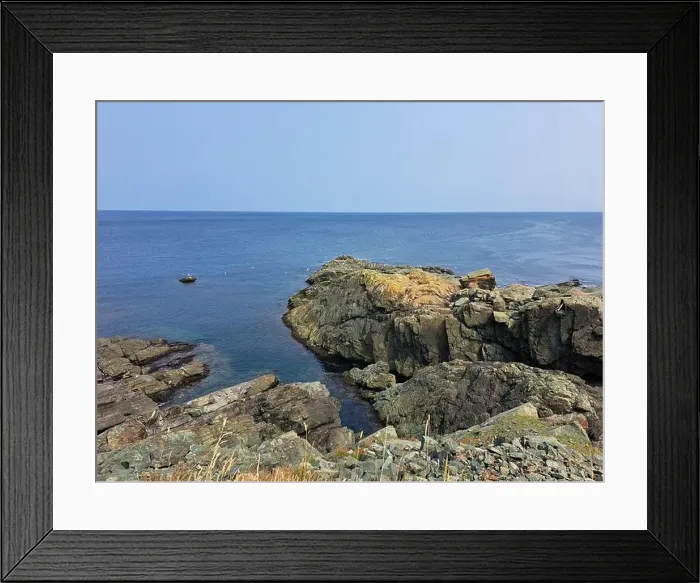Framed Print : 2s1ygfm Framed Print : 2s1ygfm