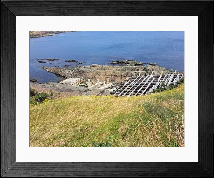 Framed Print : 2s1ygg0 Framed Print : 2s1ygg0