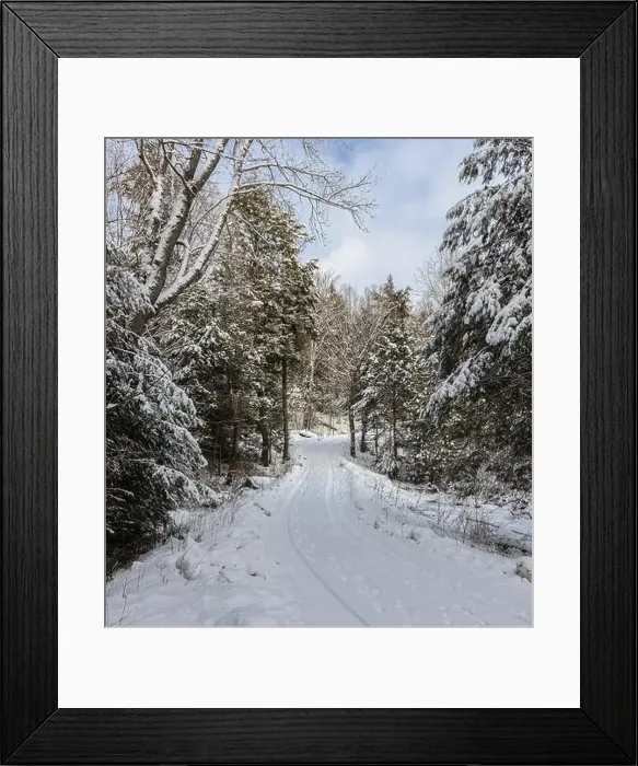 Framed Print : 2s20jng Framed Print : 2s20jng
