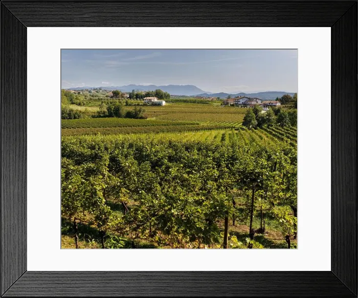 Framed Print : 2s255f3 Framed Print : 2s255f3