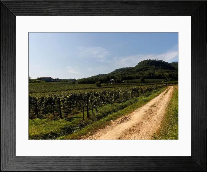 Framed Print : 2s255p2 Framed Print : 2s255p2
